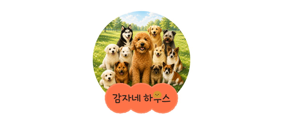 감자네보호소