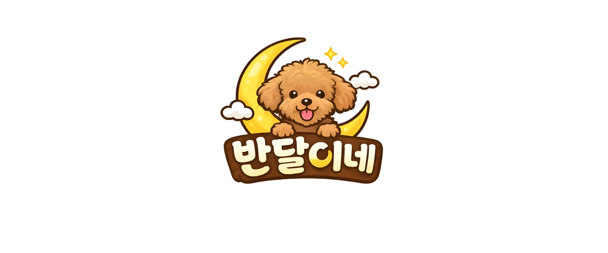 반달이네 보호소